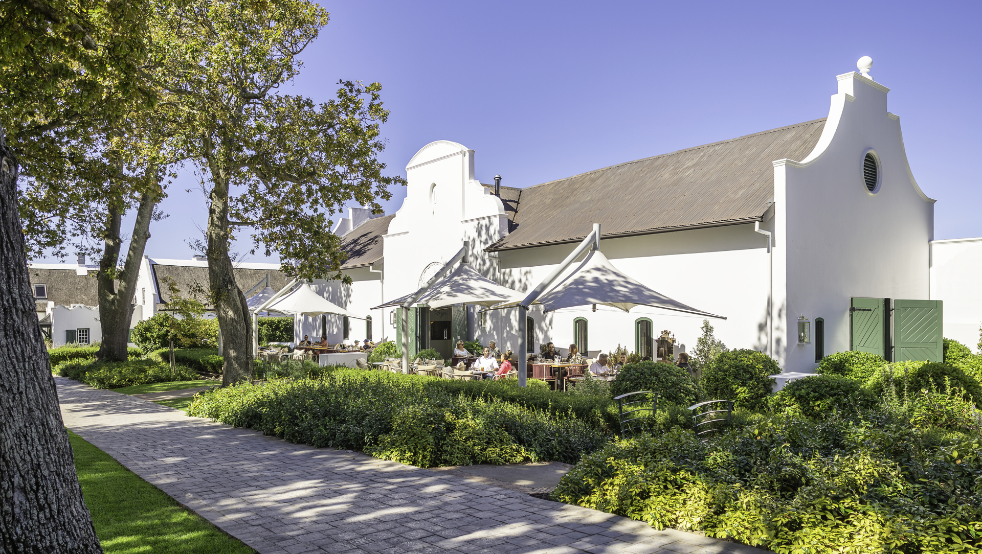 Tryn Restaurant & Vineyard